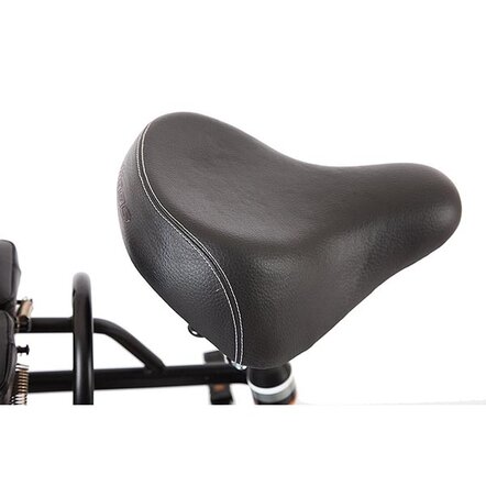 Электровелосипед e-ALFA GL